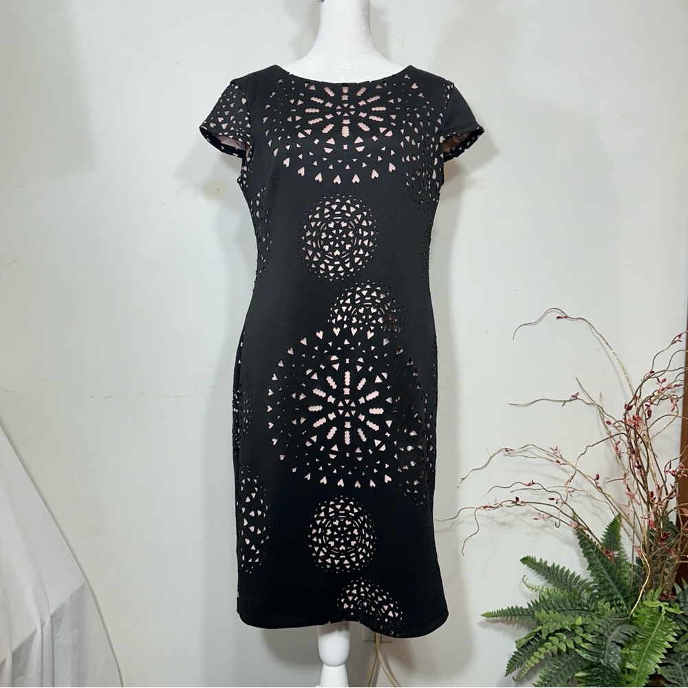 Signature Camryn Black Dress